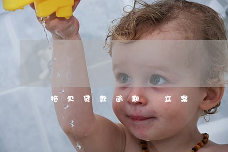 拖欠贷款逾期 立案 拖欠贷款逾期 立案